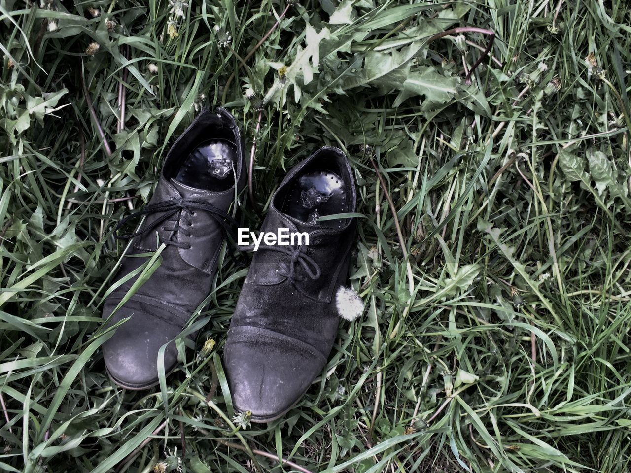 HIGH ANGLE VIEW OF SHOES ON GRASS