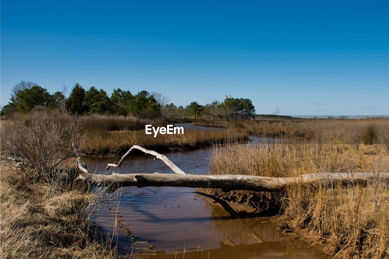 Scenic view of lake against clear sky