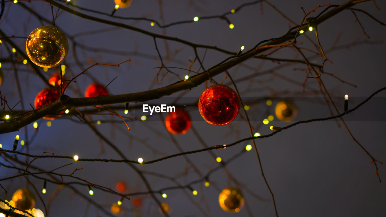 LOW ANGLE VIEW OF CHRISTMAS TREE AGAINST STAR SHAPE