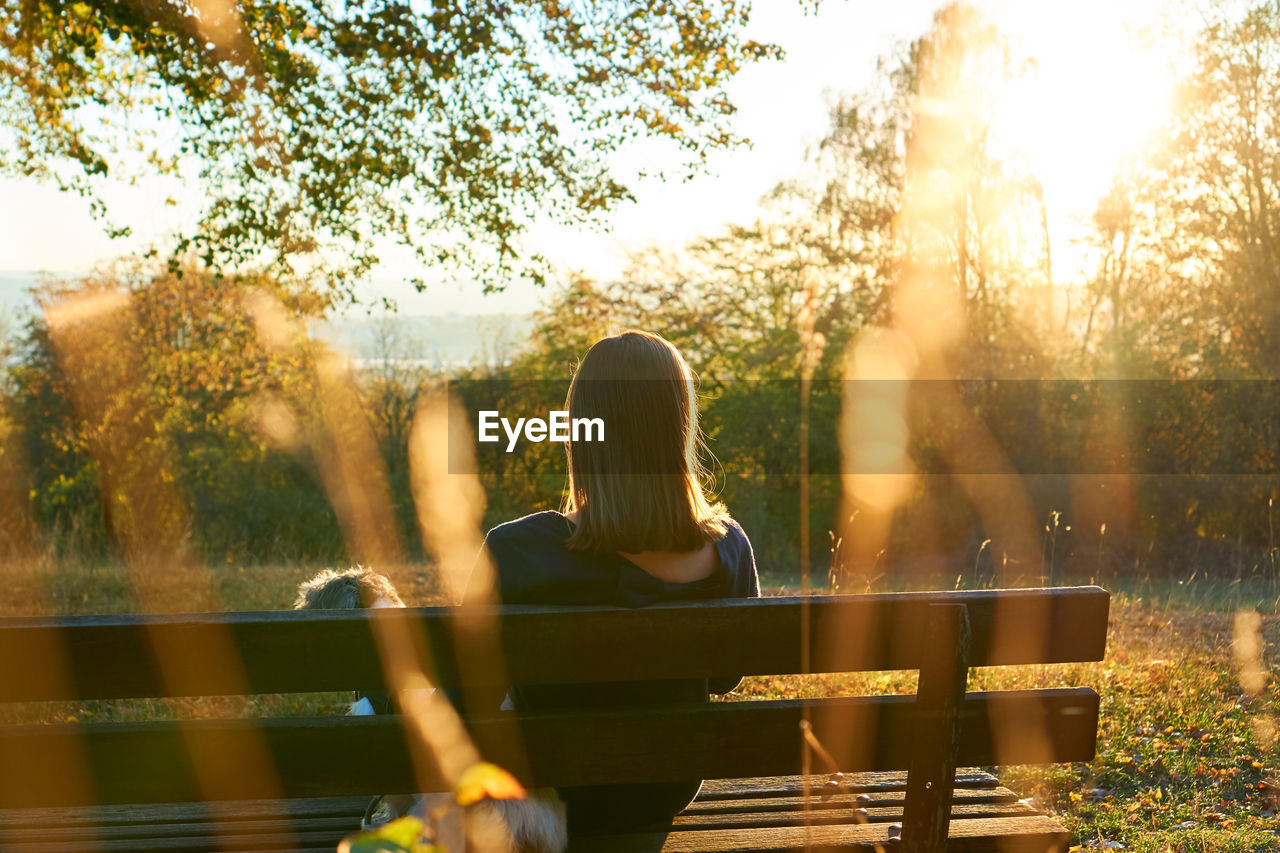 Rear view of woman sitting on bench in park during sunset