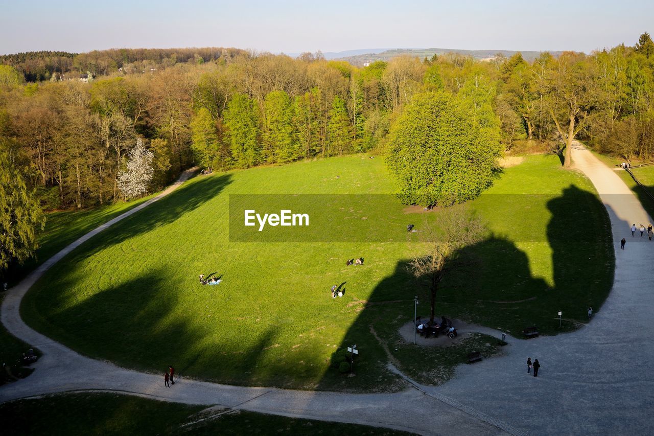 HIGH ANGLE VIEW OF GOLF COURSE ON TREE