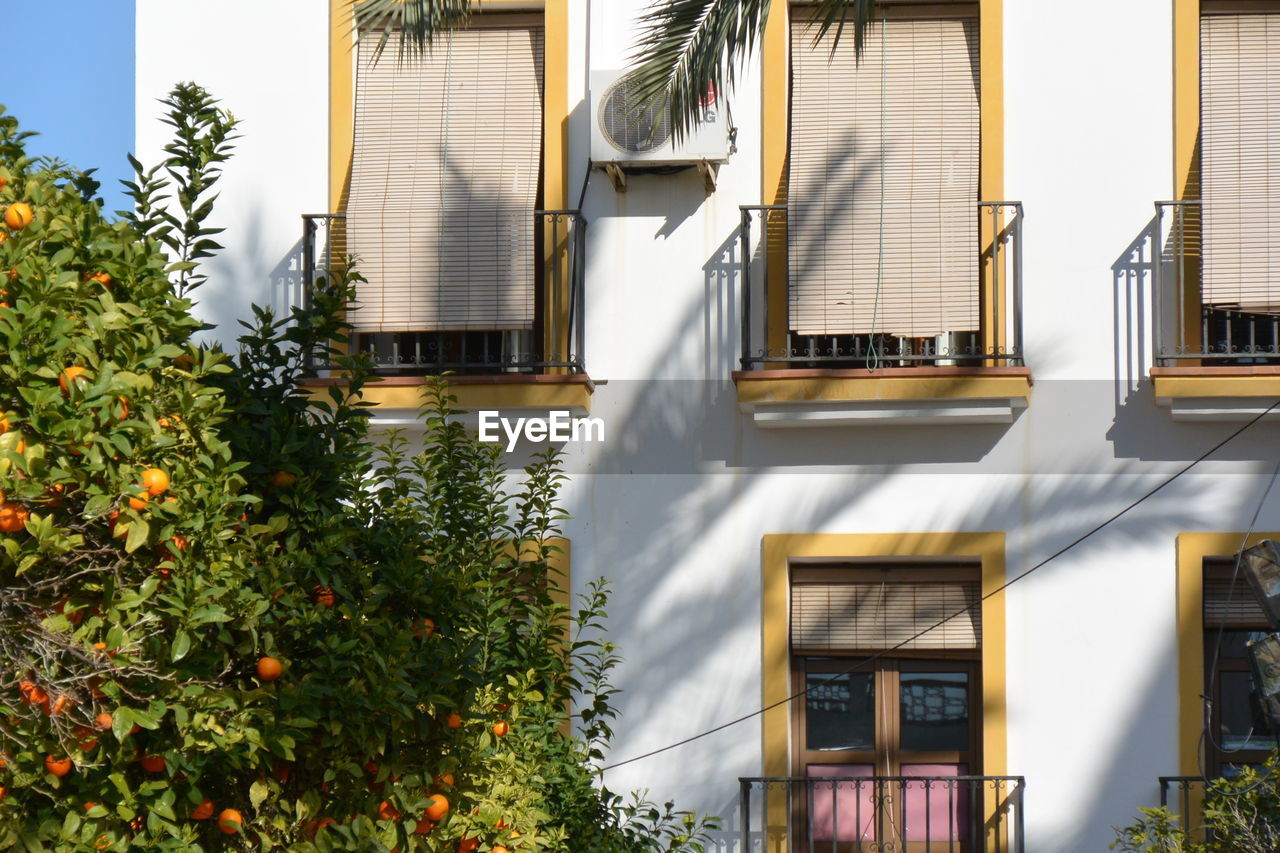 House by trees