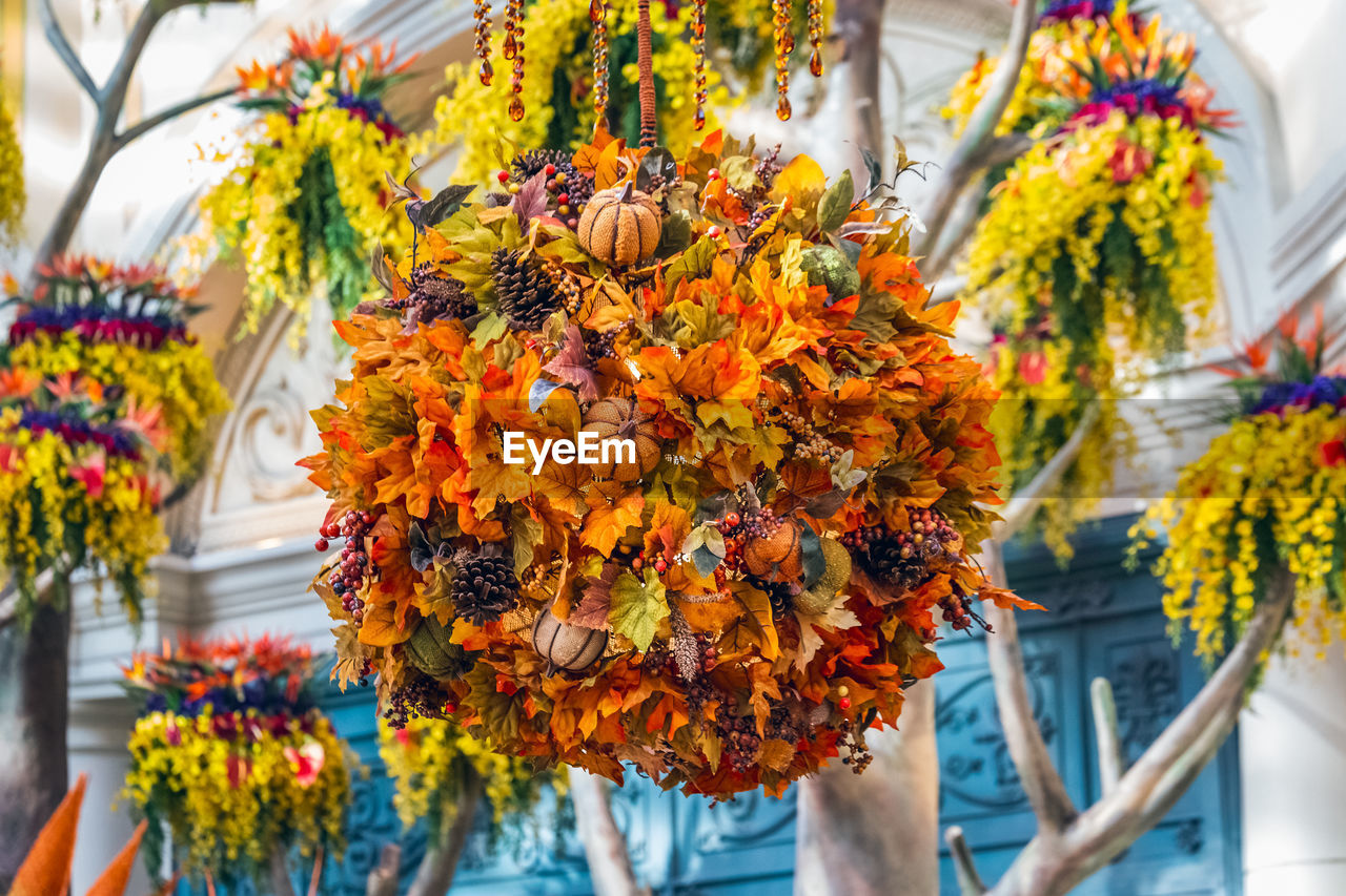 CLOSE-UP OF ORANGE FLOWERING PLANT HANGING IN YELLOW FLOWER