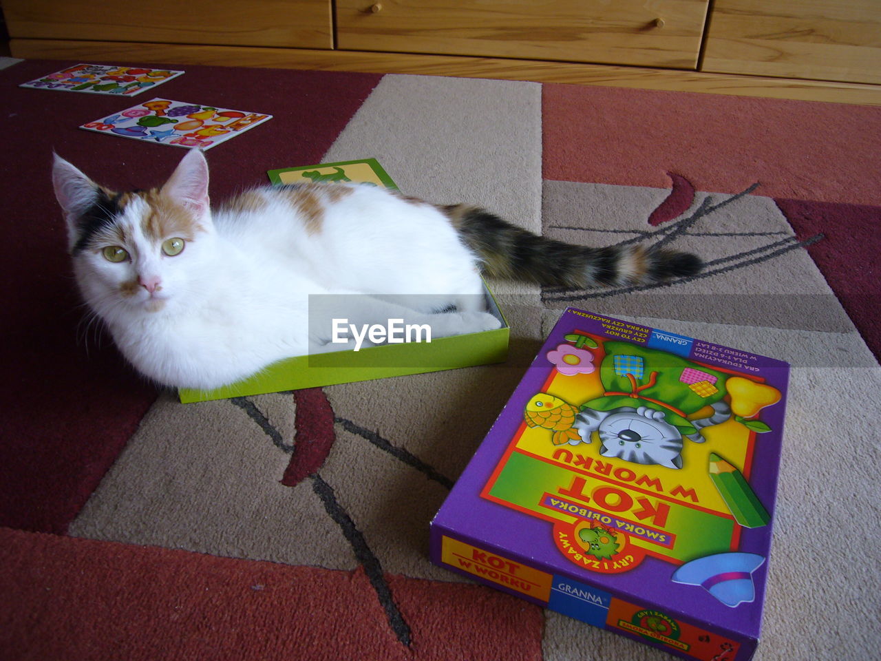 VIEW OF CAT ON DOORMAT AT HOME