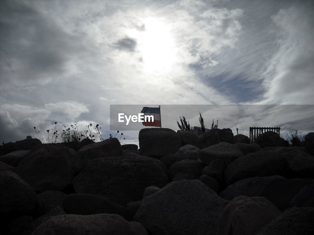 LOW ANGLE VIEW OF TREES AGAINST CLOUDY SKY