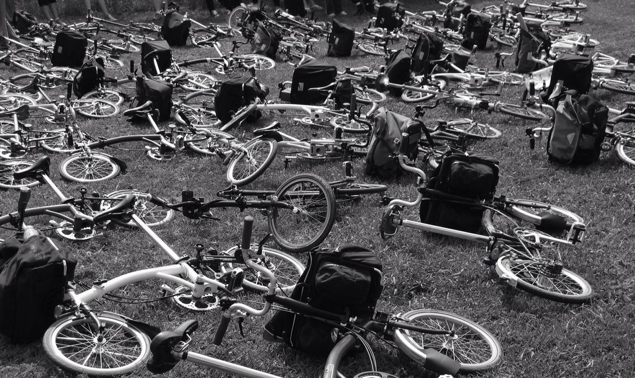 Uniform city bikes on grass