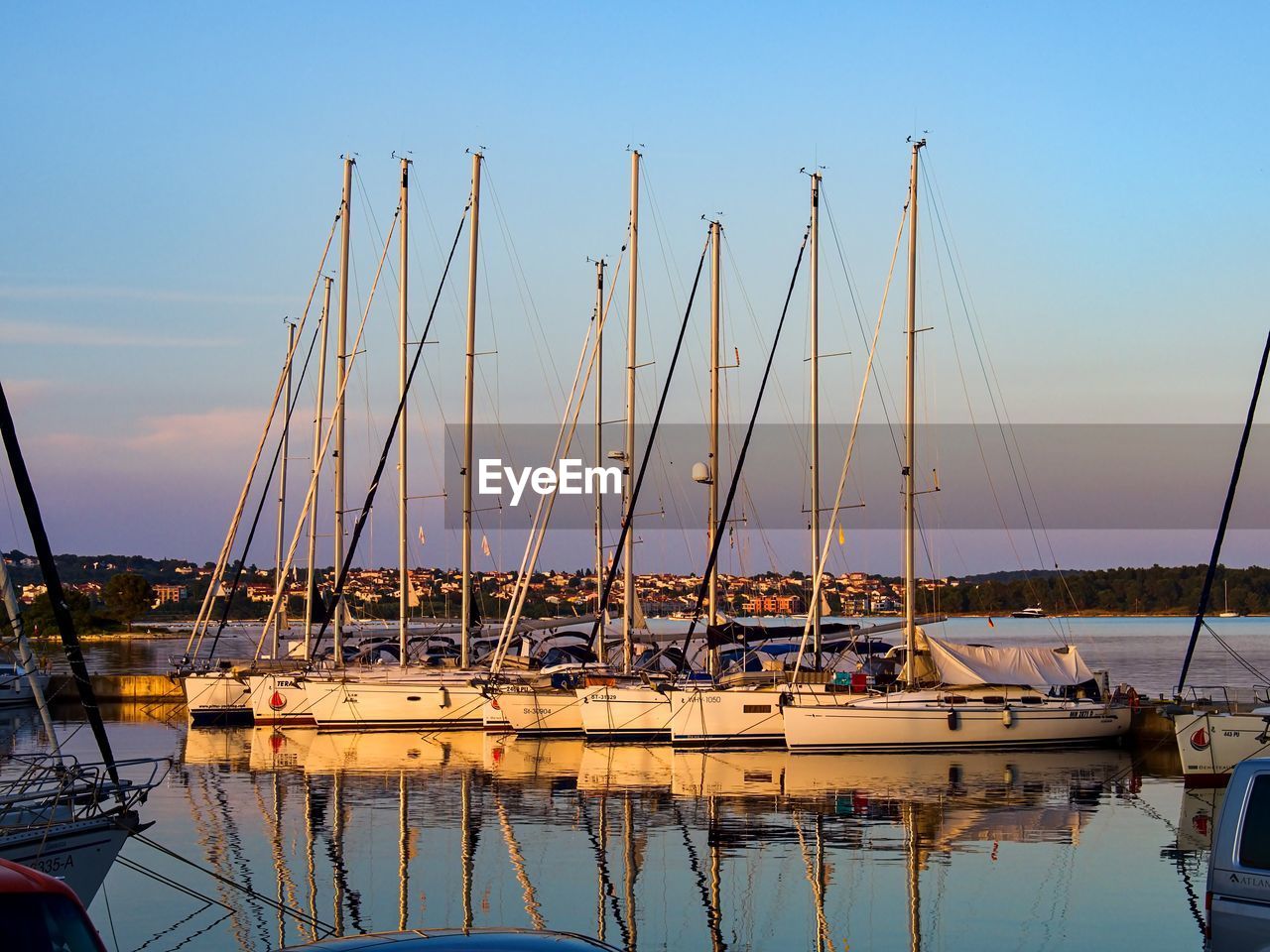 Sailboats moored in harbor