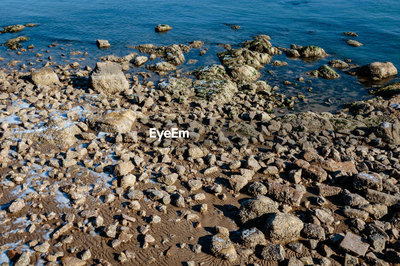 CLOSE-UP OF CRAB ON BEACH