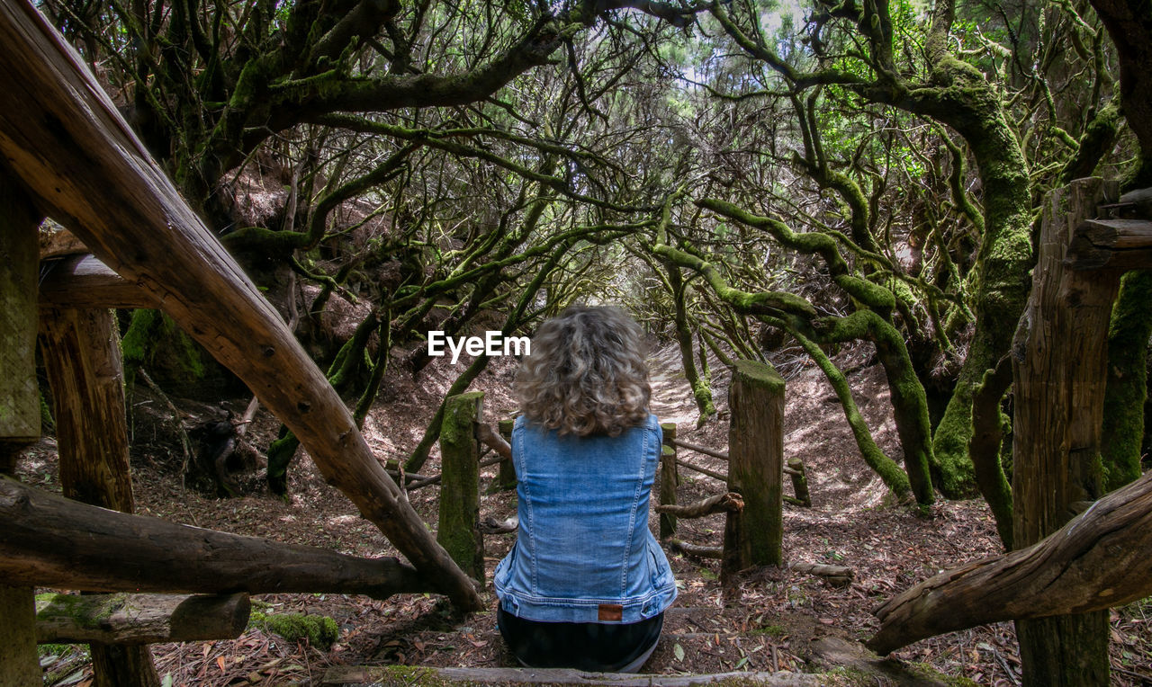 Rear view of woman walking in forest