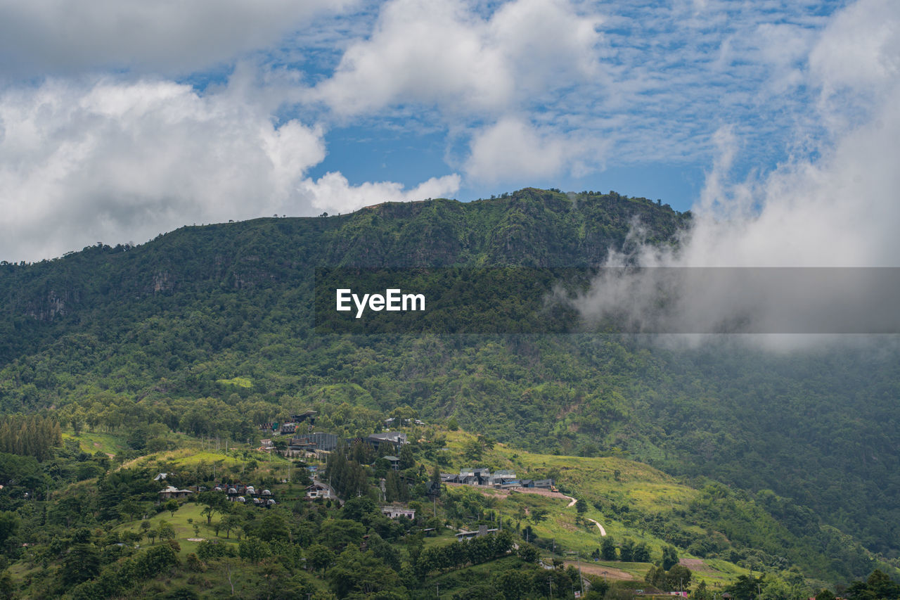 environment, landscape, mountain, nature, land, cloud, scenics - nature, mountain range, sky, plant, fog, tree, social issues, beauty in nature, forest, travel, tourism, no people, travel destinations, outdoors, environmental conservation, rural scene, valley, ridge, green, highland, plateau, field, architecture, morning, non-urban scene, tranquility, rural area, mountain peak, wilderness, summer, tropical climate, lush foliage, agriculture, day, hill station, foliage, blue, tea crop, high angle view