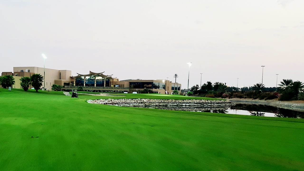 SURFACE LEVEL OF GRASSY FIELD AGAINST SKY