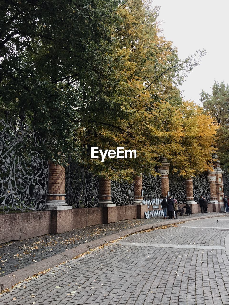 Walkway amidst trees during autumn