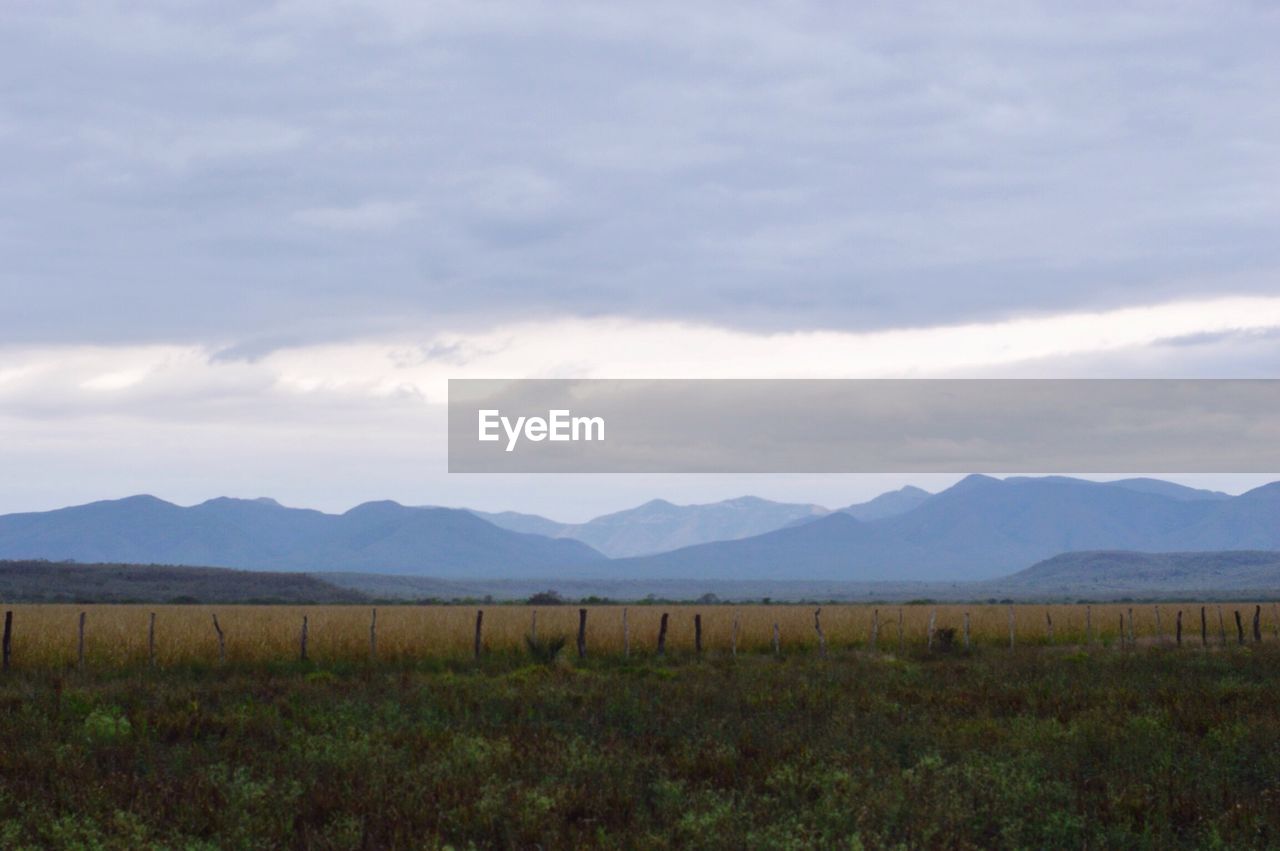 SCENIC VIEW OF FIELD AGAINST MOUNTAINS