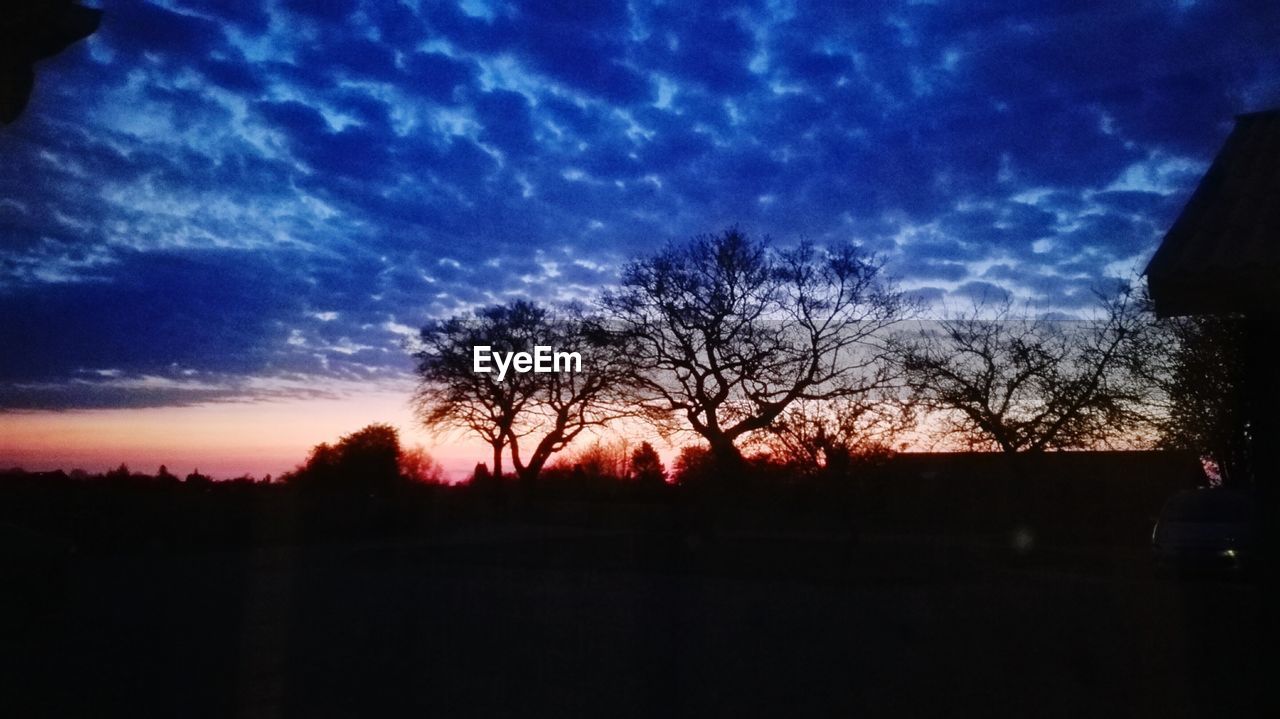 SILHOUETTE OF TREES AT SUNSET