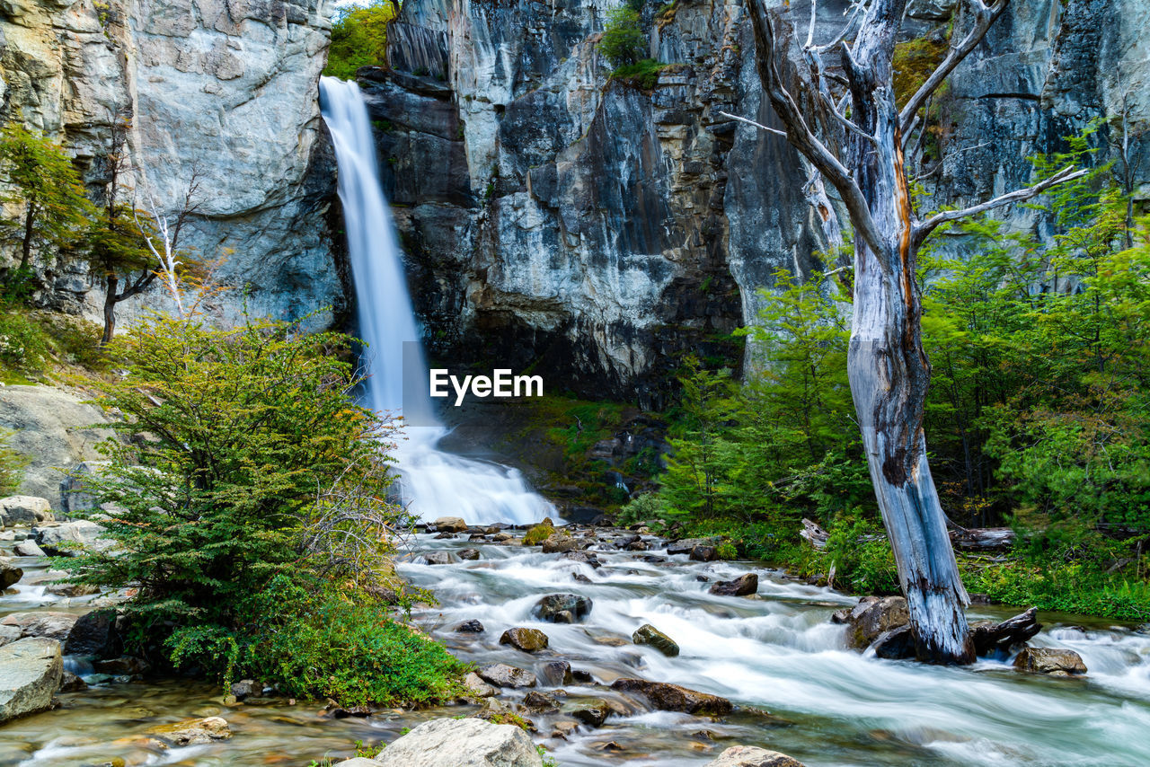 Waterfall in forest