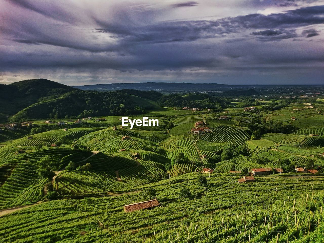 High angle view of terraced field against cloudy sky