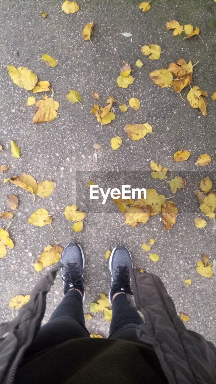 LOW SECTION OF PERSON STANDING ON STREET