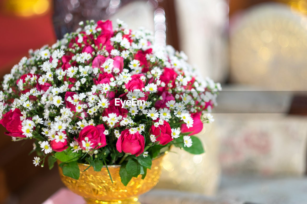 CLOSE-UP OF FLOWERS IN POT