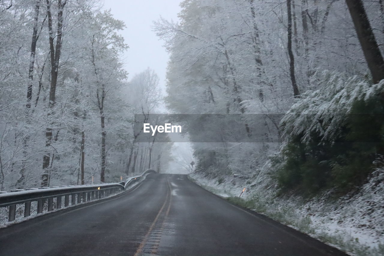 Empty road amidst trees during winter