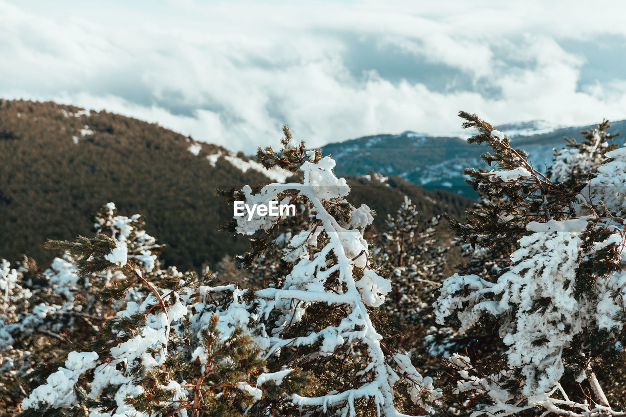 Snow covered land against sky