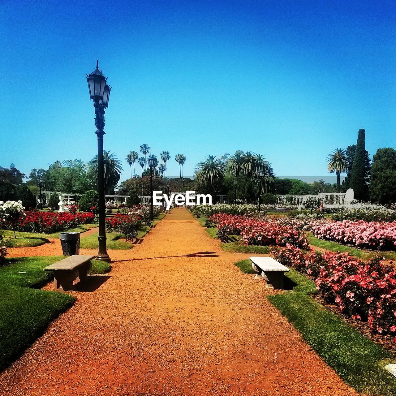 Footpath in garden