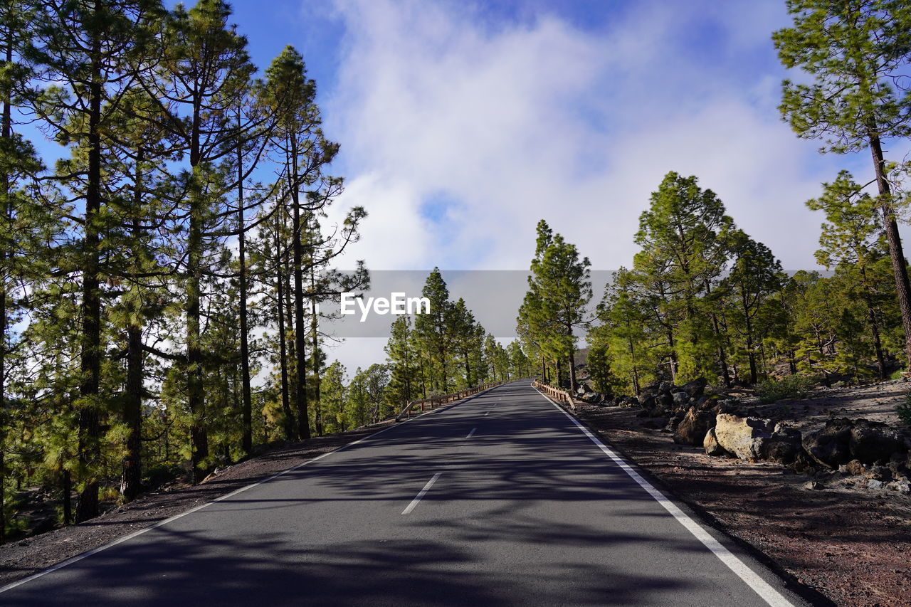 EMPTY ROAD ALONG TREES AND PLANTS AGAINST SKY