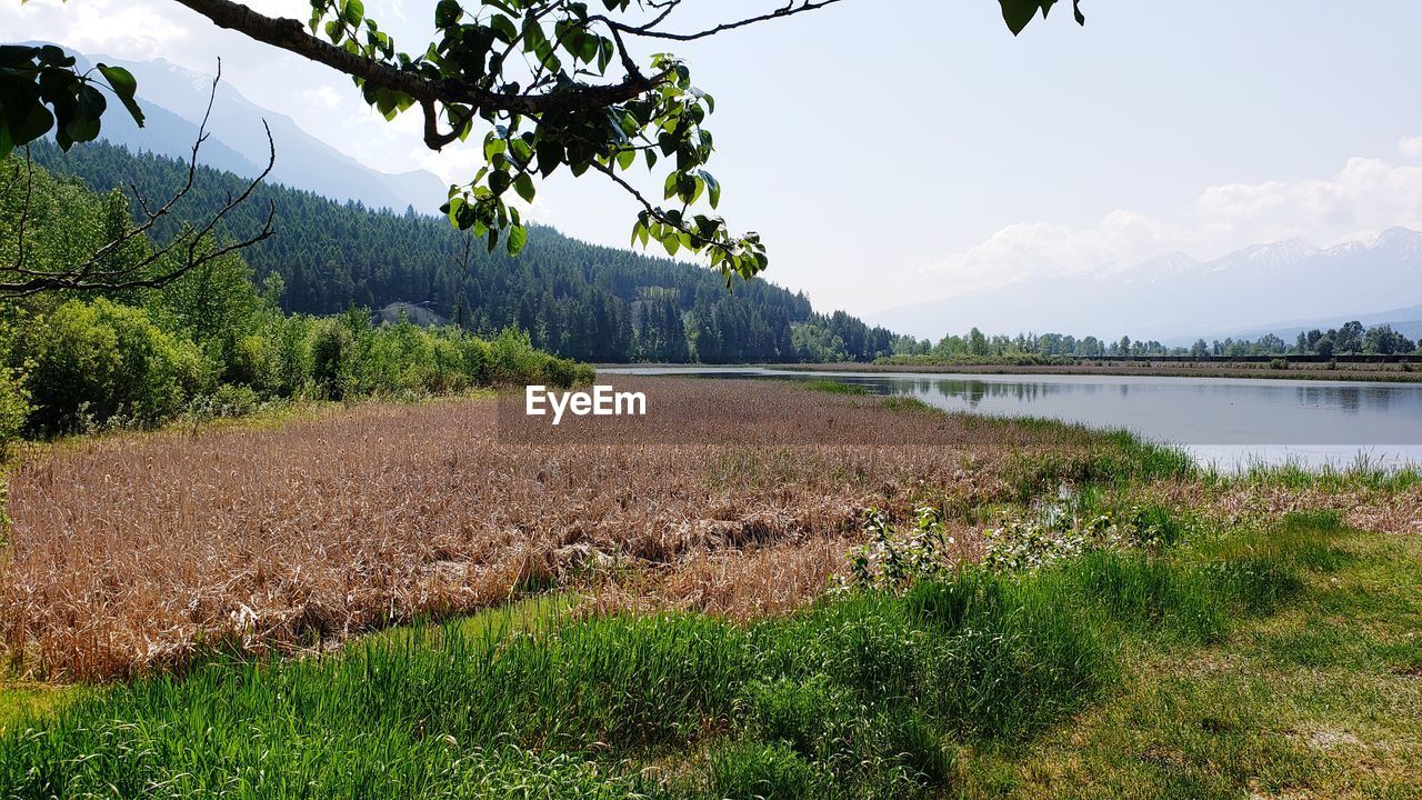 Scenic view of land against sky