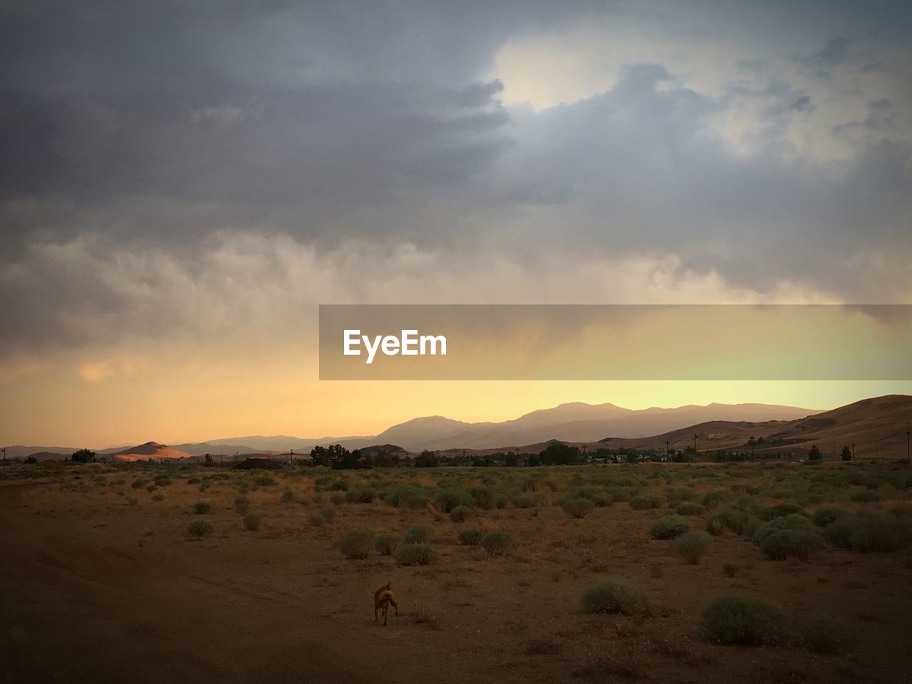 Scenic view of landscape against sky during sunset