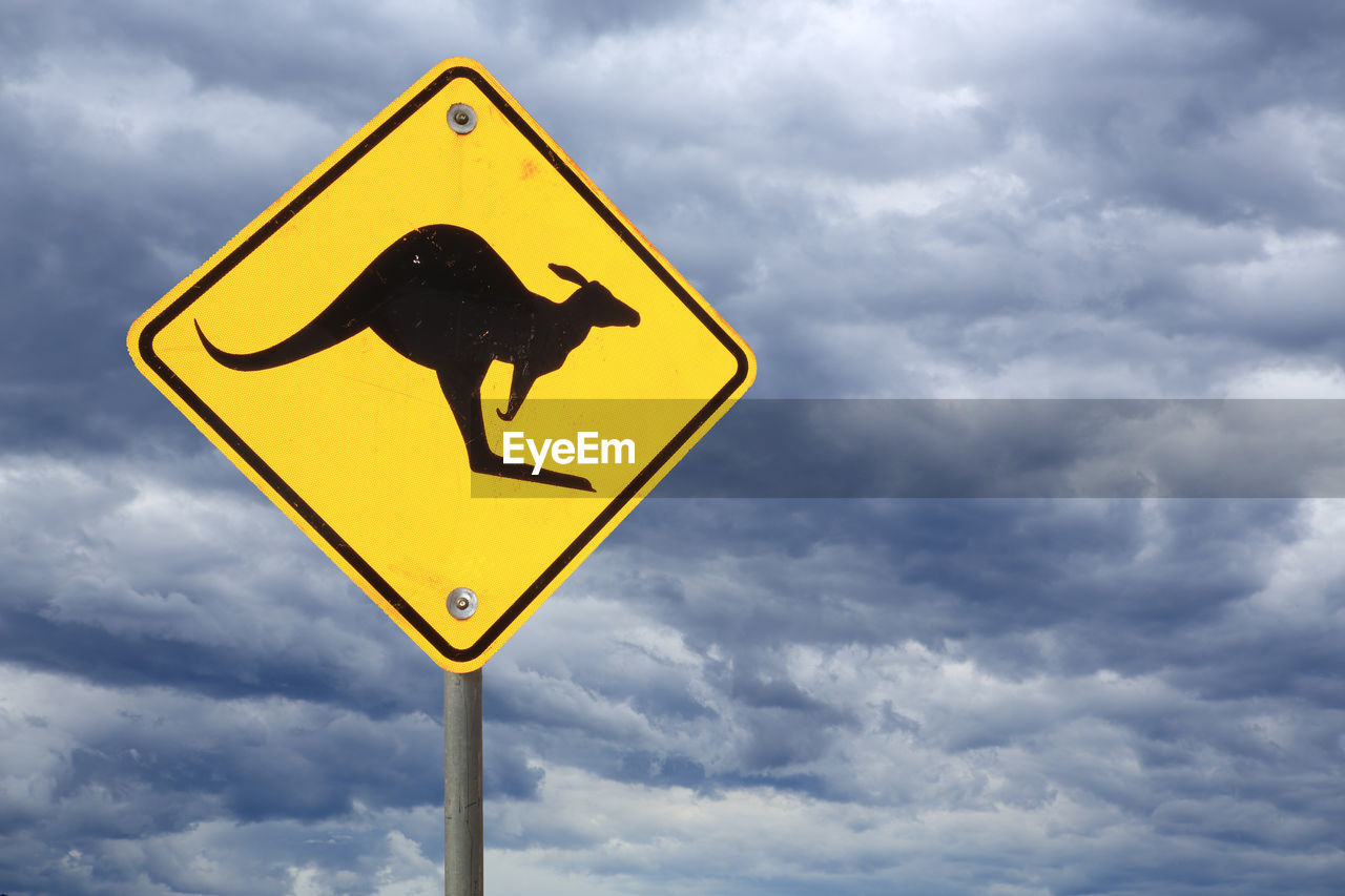 Kangaroo warning road sign australia