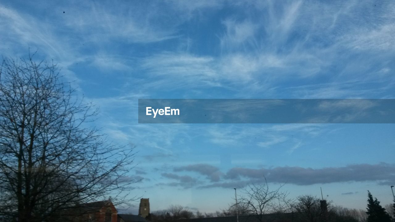 LOW ANGLE VIEW OF BARE TREES AGAINST CLOUDY SKY