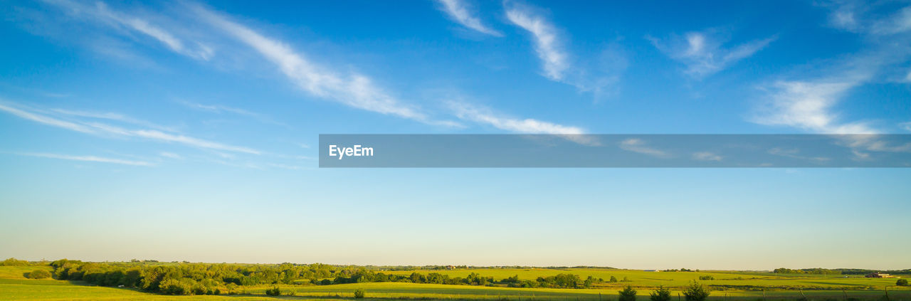 Scenic view of field against clear sky