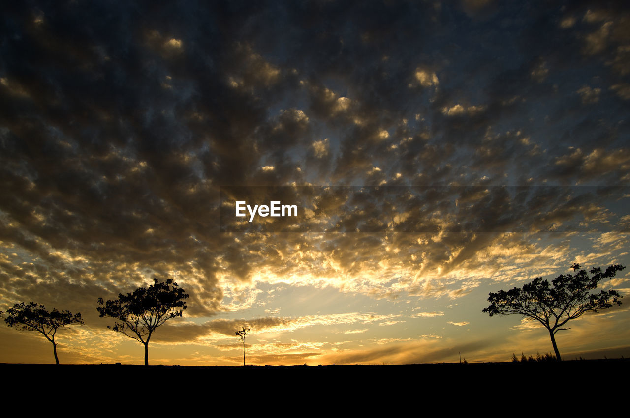 Silhouette trees on field against sky at sunset