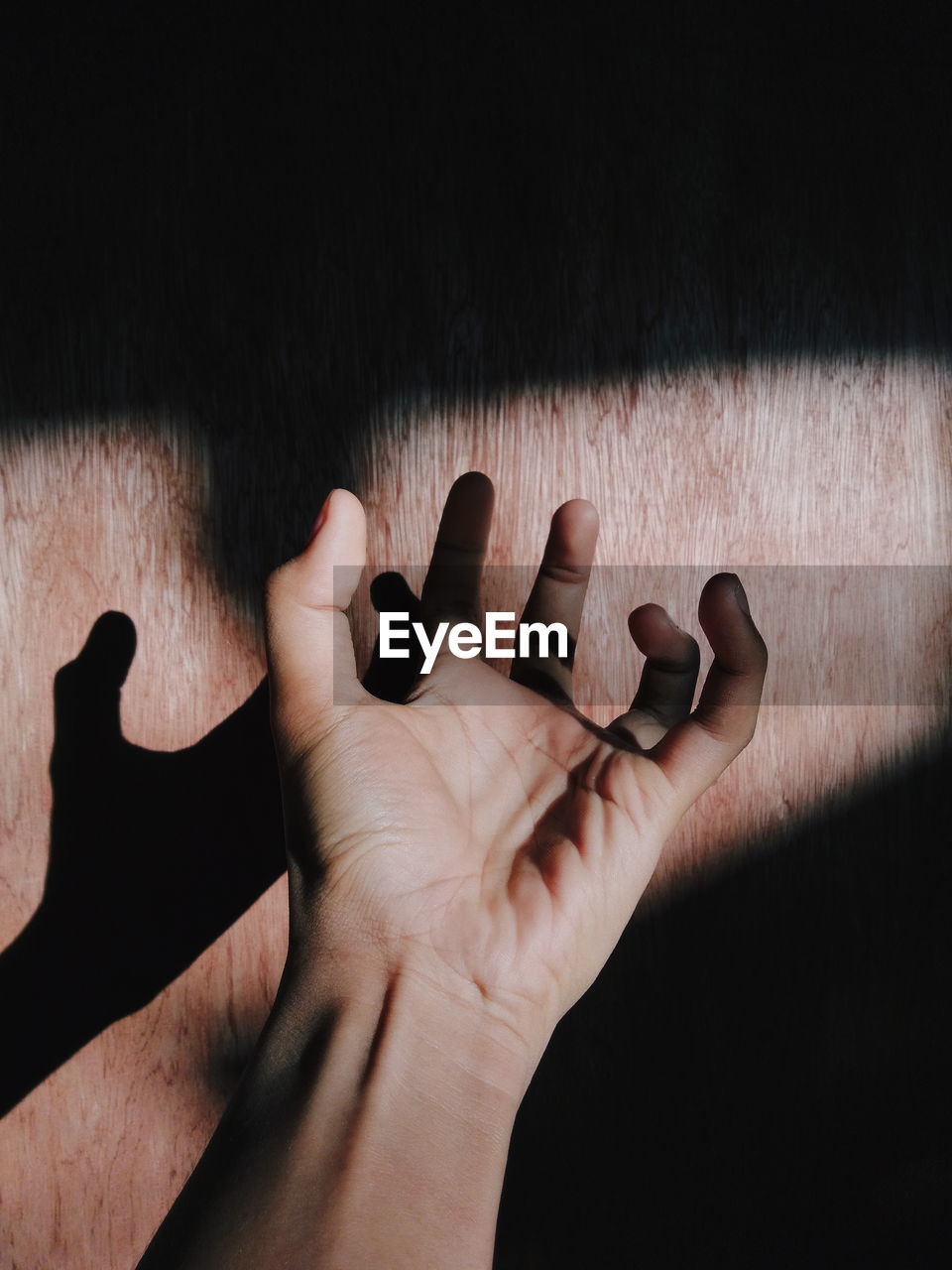 Cropped hand of person against wooden wall