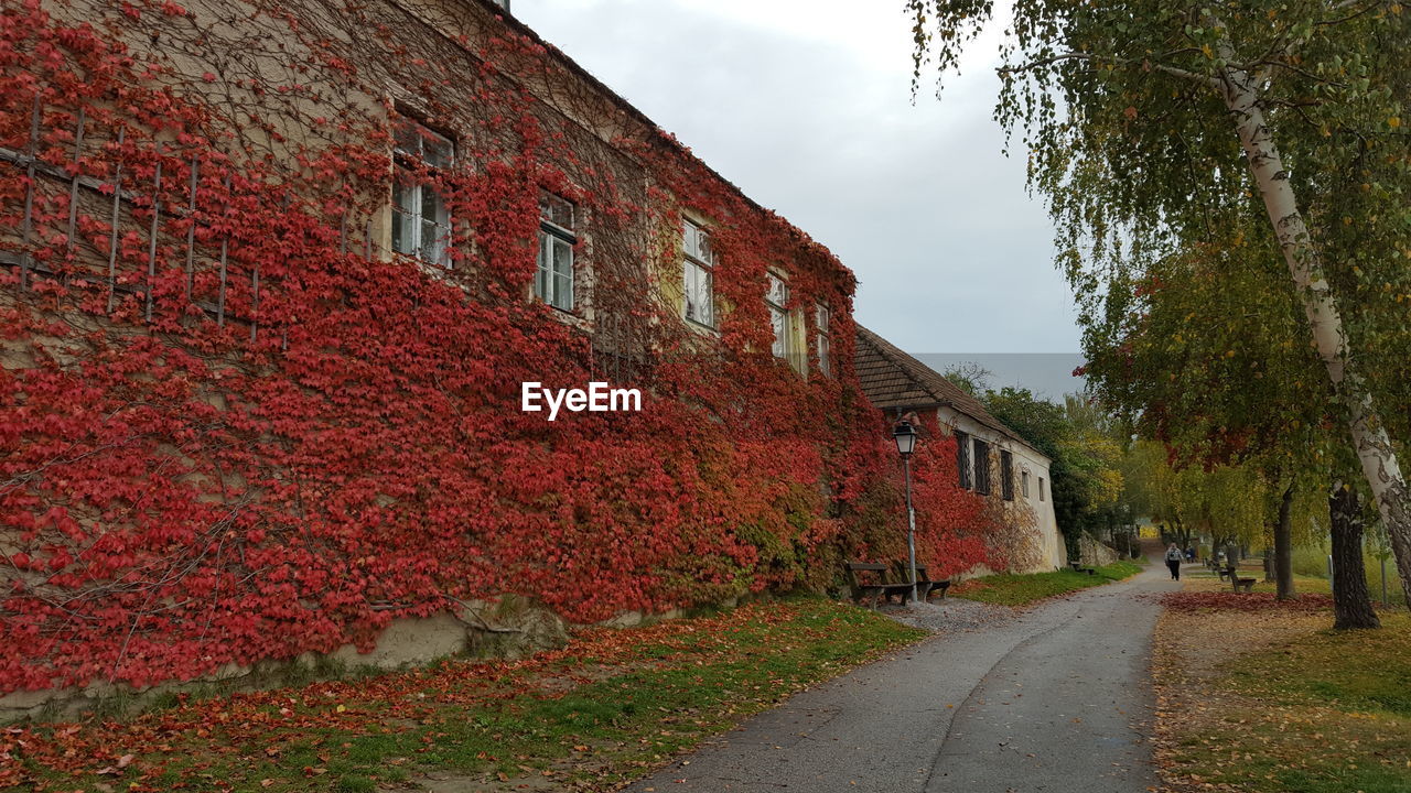 Road amidst buildings against sky during autumn