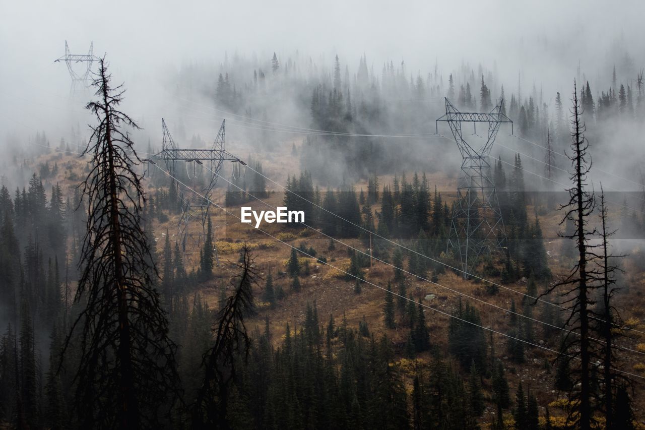 View of electricity pylon over trees in forest during foggy weather