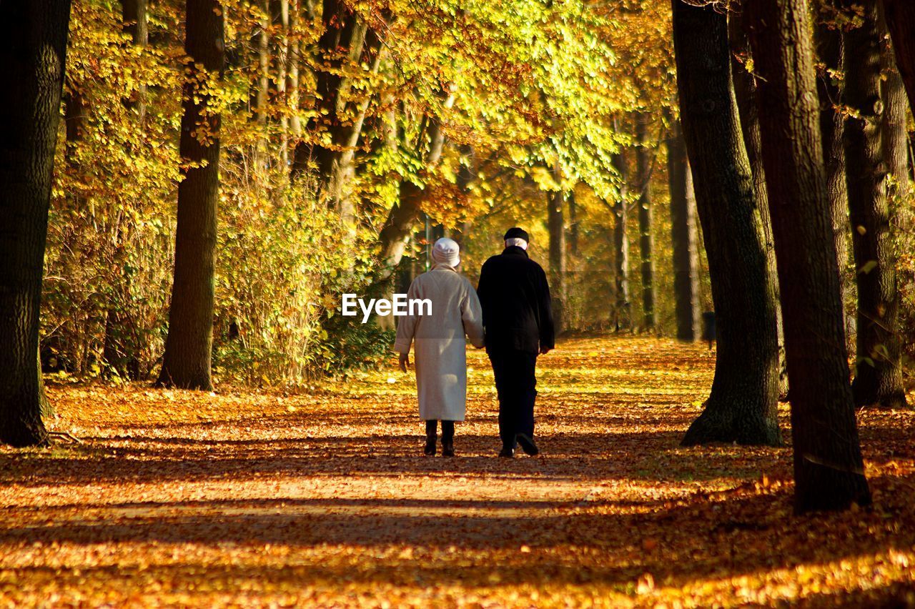 Rear view of senior couple walking in park during autumn