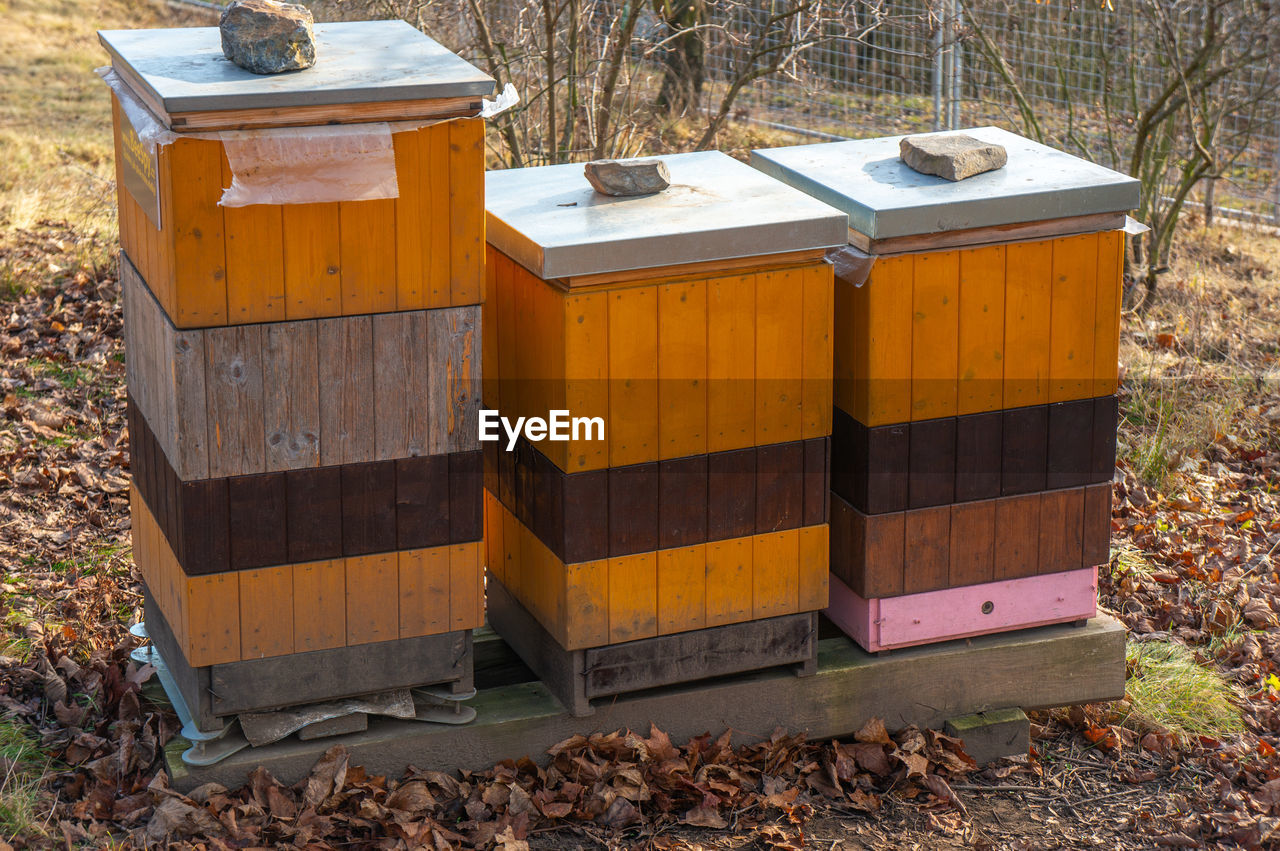 Three vibrant yellow, orange and pink beehives standing among dry fall leaves