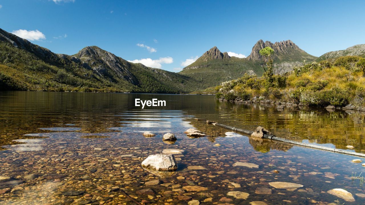 Scenic view of dove lake