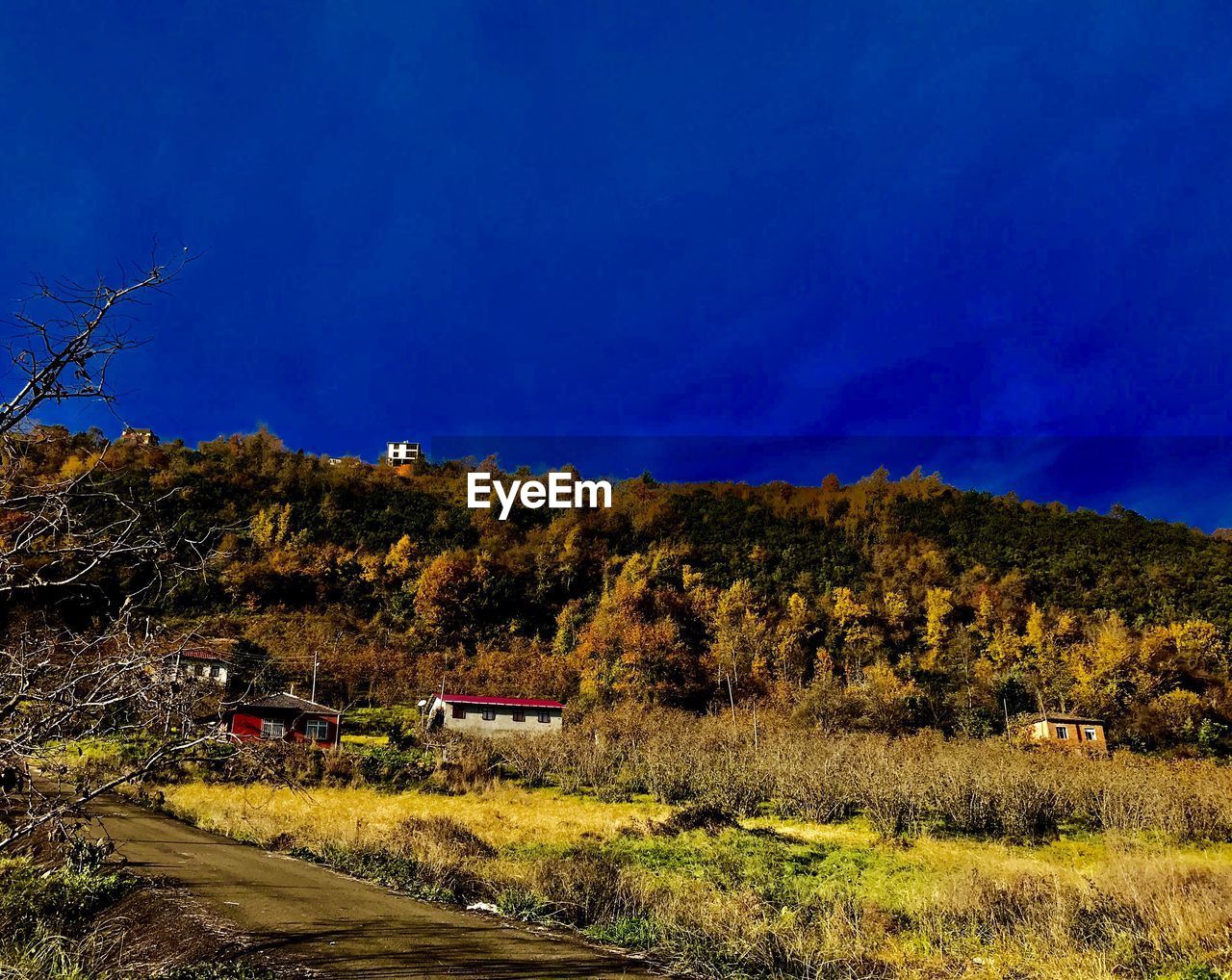 LANDSCAPE AGAINST BLUE SKY