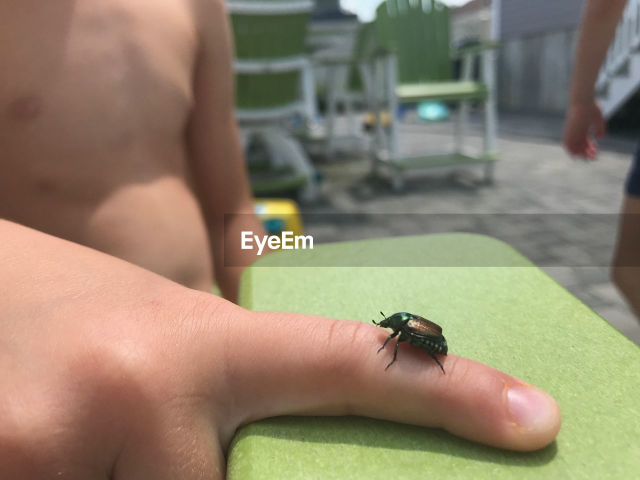 CLOSE-UP OF INSECT ON FINGER