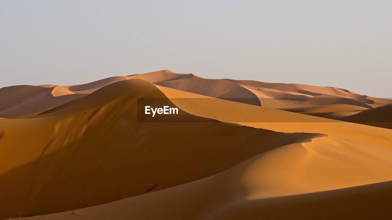 SCENIC VIEW OF SAND DUNE AGAINST CLEAR SKY