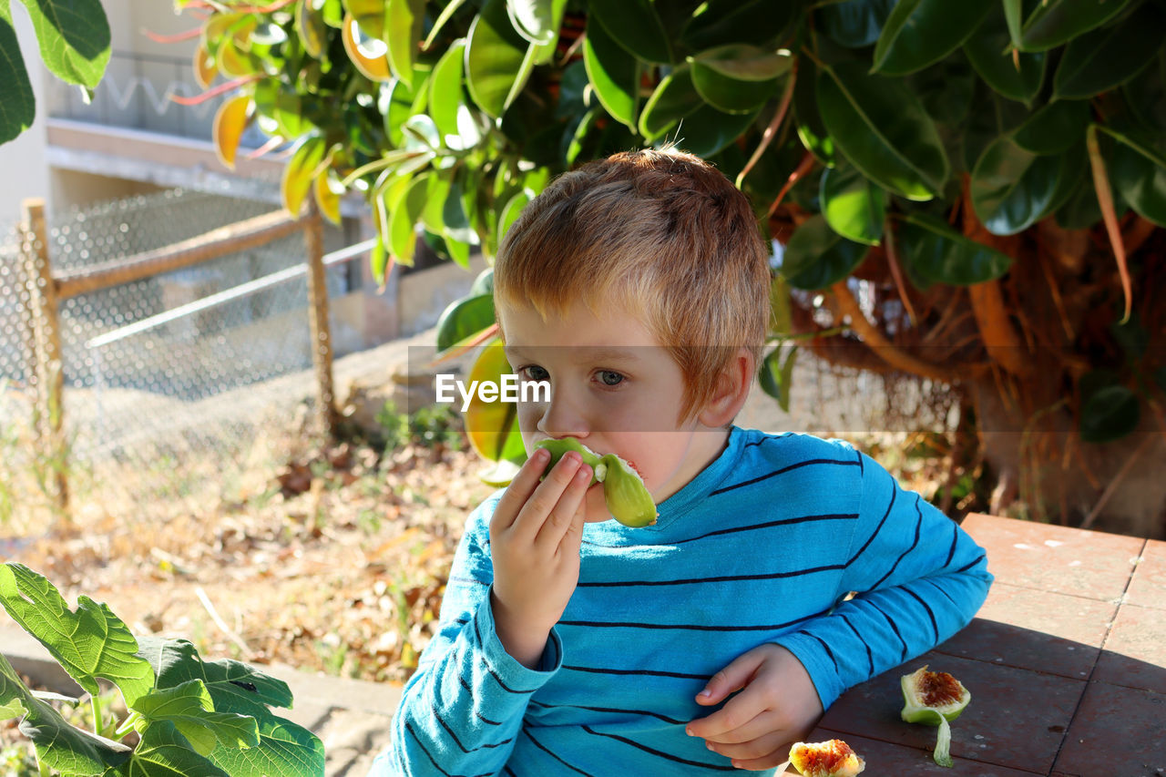 A pensive blond boy eats fresh figs in the garden. a six-year-old boy eats fruit. selective focus.