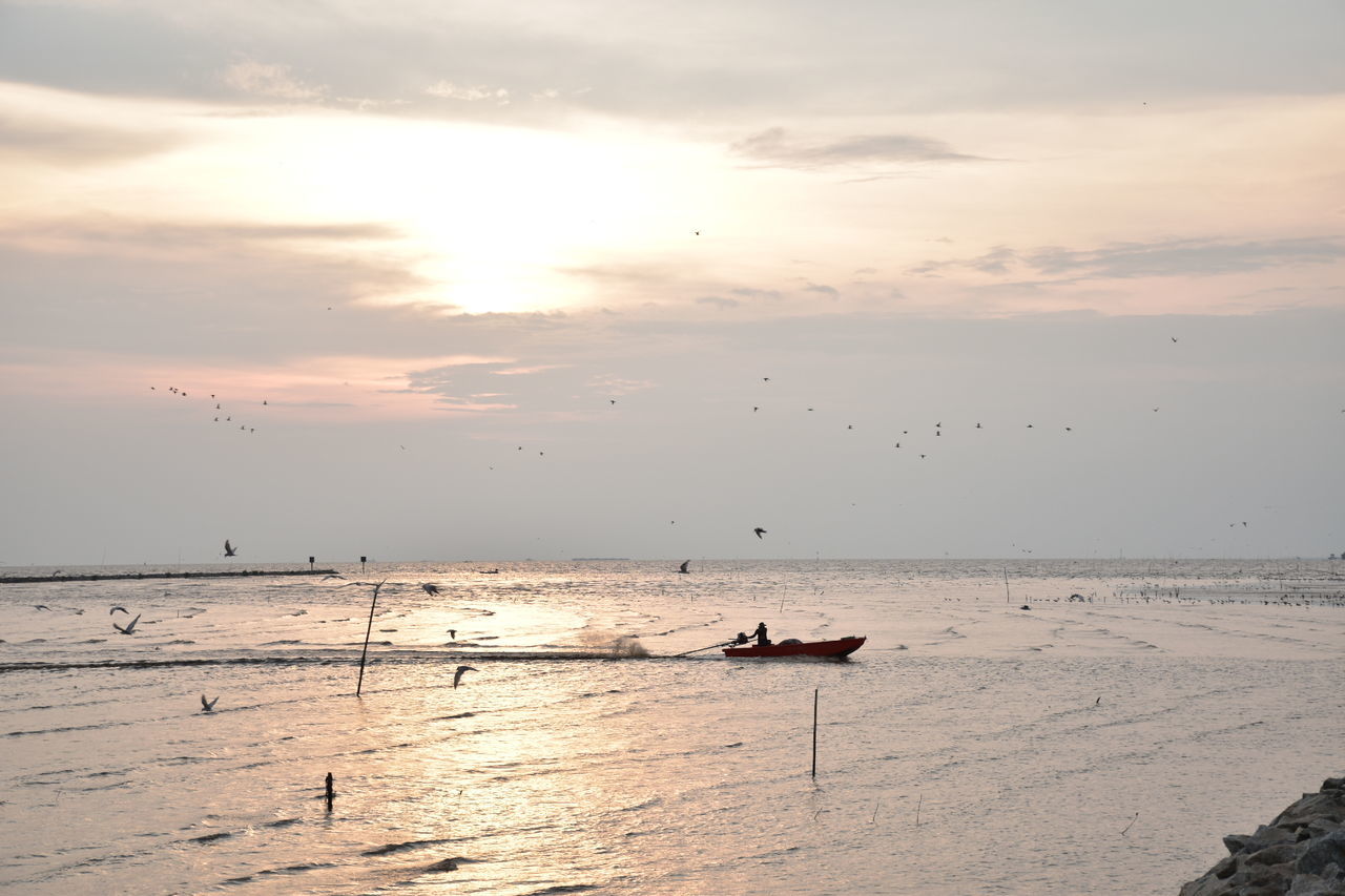 SILHOUETTE MAN IN SEA AGAINST SKY DURING SUNSET