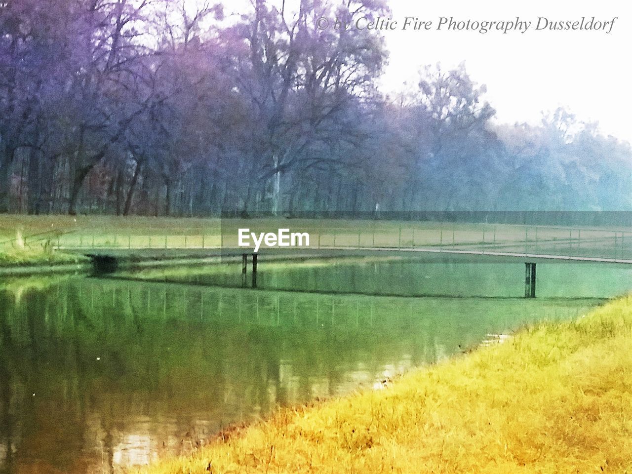 SCENIC VIEW OF LAKE WITH TREES IN BACKGROUND