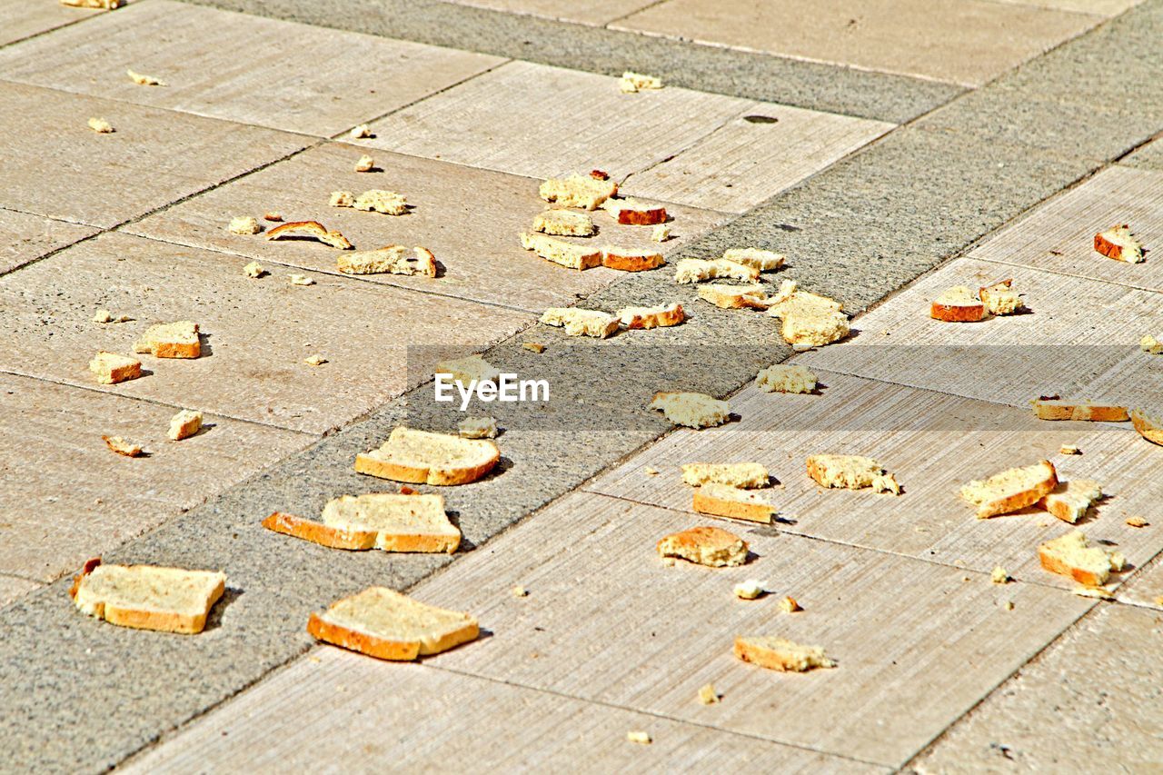 HIGH ANGLE VIEW OF LEAVES ON FOOTPATH BY STREET