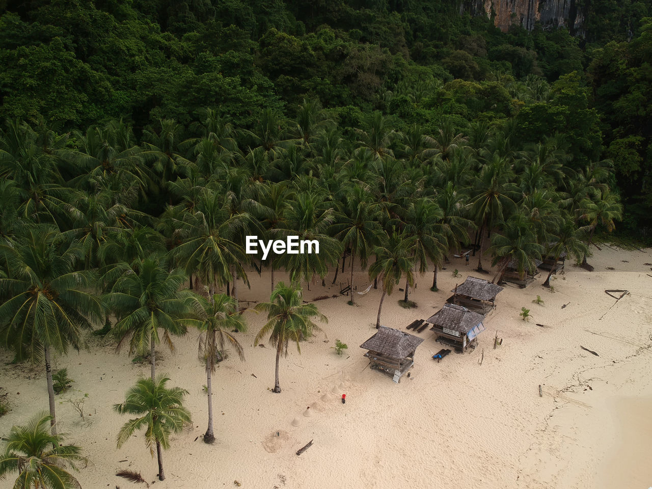 High angle view of palm trees and huts at beach