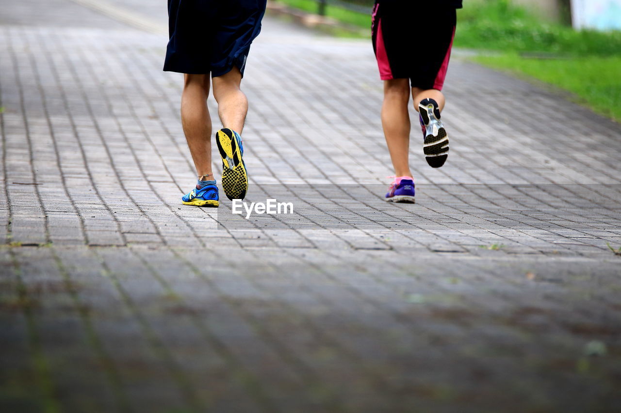 Low section of women walking on zebra crossing