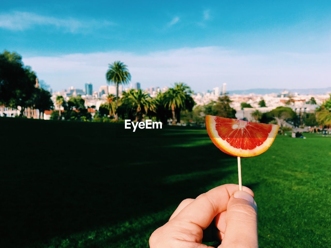 Cropped hand holding blood orange on grassy field against sky