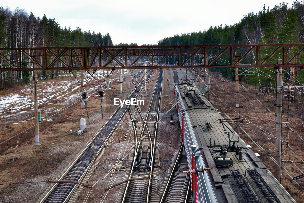 High angle view of railroad amongst tall pine trees in winter