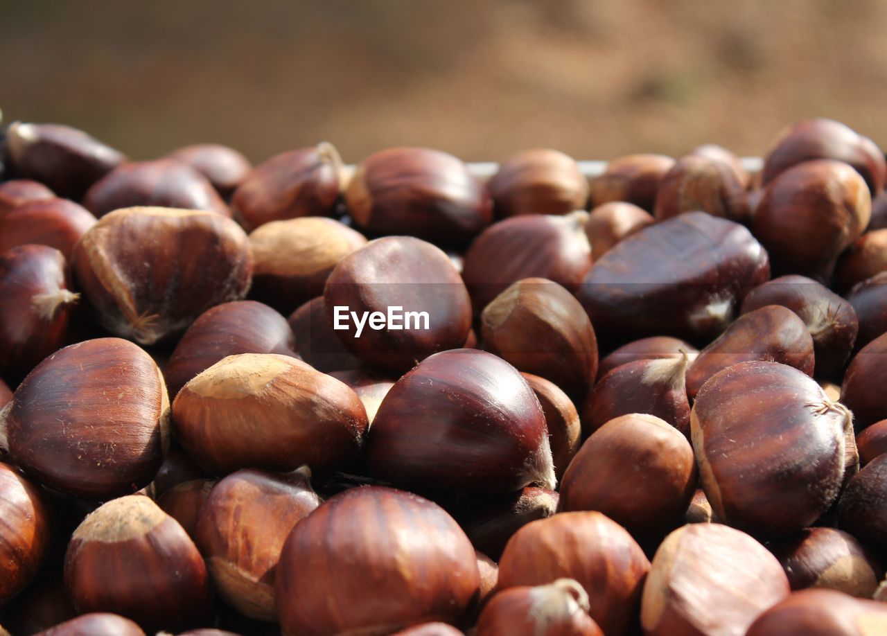 Close-up of hazelnuts